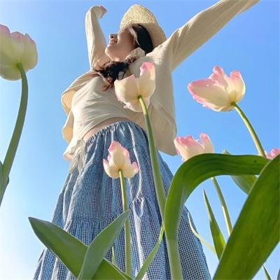 纽泽西爱未眠